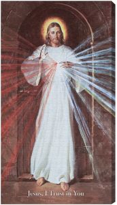 Skemp Divine Mercy 10 x 18 Canvas Print