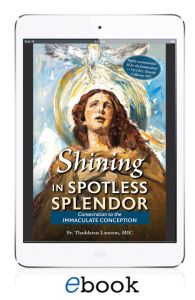 Shining in Spotless Splendor (eBook version)