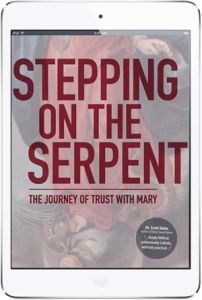 Stepping on the Serpent Ebook Version