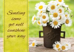 Sending some Sunshine Get Well - Front