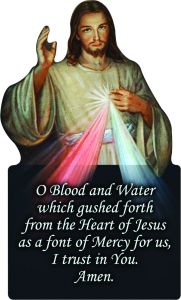 Divine Mercy Visor Clip