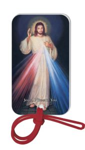 Divine Mercy Luggage Tag