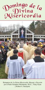 Feast of Mercy Pamphlet, Spanish