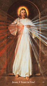 Chaplet of The Divine Mercy Prayer Card, Skemp