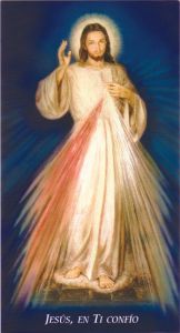 Chaplet of The Divine Mercy Prayer Card, Hyla, Spanish